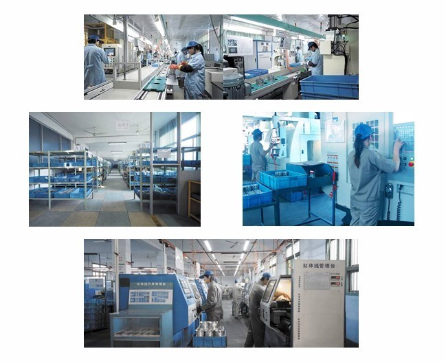 automotive compressors in SANDEN 510