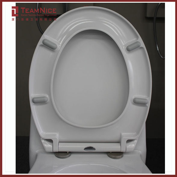 quick release duroplast toilet seat