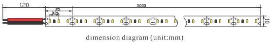 Outdoor waterproof silicon sleeved 120pcs/m LED ribbon SMD3014 top view