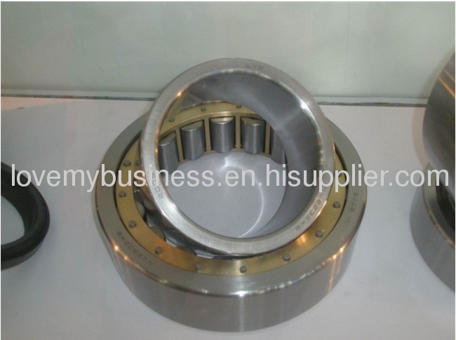 Cylindrical roller bearing NU2205
