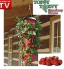 Grow yummy Strawberry Planter