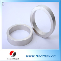 Multipole Magnetized Ring Magnet