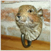 wood carved squirrel head hook