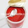 xinjiang tomato puree canned