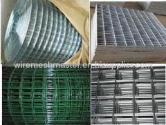 Welded Wire Mesh / wire netting