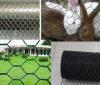 Hexagonal Wire Netting (Chicken/Rabbit/Poultry Wire mesh)