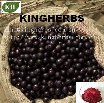Sell Acai Berry Extract