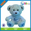 blue teddy bear plush toy
