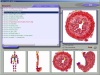 High accuracy 3D-NLS whole body analyzer with 256 items