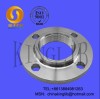 stainless steel companion flange on sale