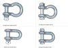 Stainless Steel D Shackle