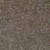 50% Polyster 50% Wool Blend Carpet 3.66m With Contemporary Design
