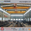 LDP single girder crane