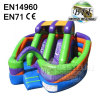 Coloerful Bouncer Combo Inflatable