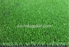 very beautiful basketball grass