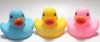 Floating toy bath duck