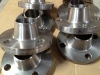 Titanium Ti gr2 Weck neck flange