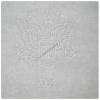 Nwell Security Watermark Paper