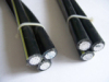 Bare conductor AAC 1X50+AAC conductor XLPE insulated 2x50 ABC cable