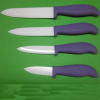 ABS handle ceramic kitchen knife