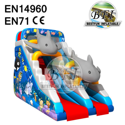 Dry Wave Sea World Inflatable Dolphin Slide