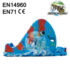 Wet / Dry Whale Sliding Inflatables