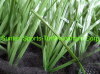 PE artificial grass soccer grass