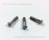 Stainless steel CNC precision eyewear hinge screw