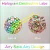 One Time Use Gold/Silver Hologram Sticker,Hologram Ultra Destructible Vinyl Labels for Property Protection,Eggskin Label