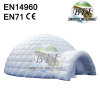 Nice Designed Inflatable Dome Tent