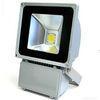 Garden / Hospital Waterproof LED Flood Light Outdoor Cool White