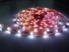 Long Life 24V Flexible LED Strip Lights Waterproof Low Power 5050 LED