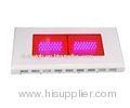 600W LED Plant Fluorescent Growing Lights For Indoor Plants