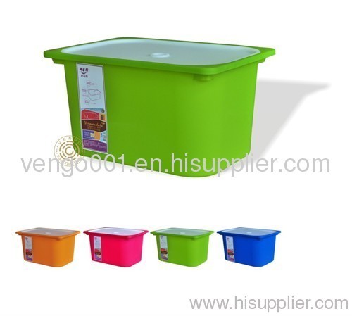 clear plastic storage box