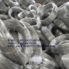 galvanized steel wire,Electro Galvanized Iron Wire