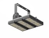 New LED Canopy Light