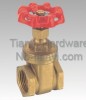 Horizontal Brass Two General Formula Gate Valve