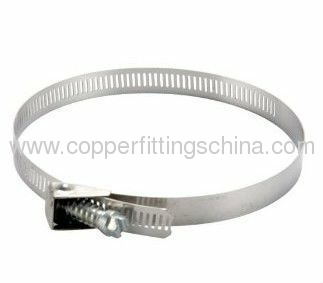 Quick Restore Stainless Steel Hose Clamp