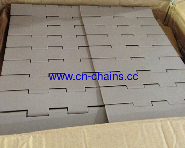 Flat top double hinge plastic conveyor chains (RW821-K750)