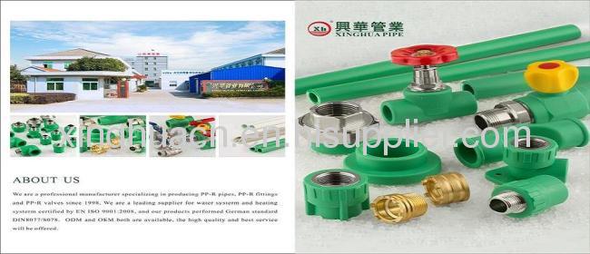 Chinese Hot water pipe SDR6/S2.5 PN20 20-110mm