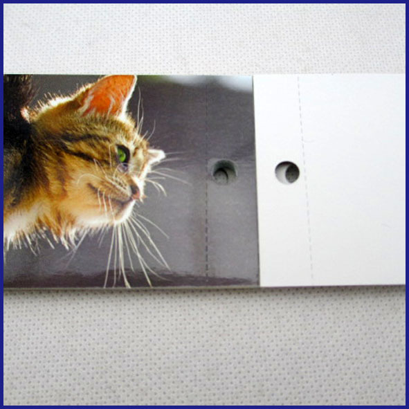 cats magnetic calendar 2014