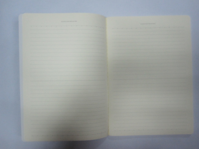 A4 2 subjectsoftcover notebook college ruled