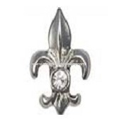 2013 hot sale floating locket fleur-de-lis charms