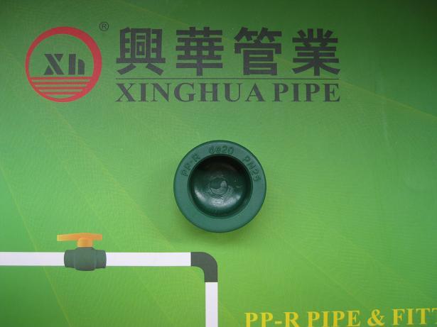 PPR fittings plumbig material PPR end cap from China