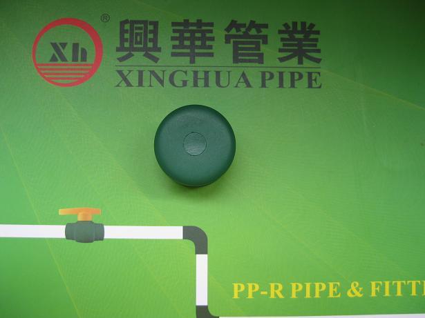 PPR fittings plumbig material PPR end cap from China