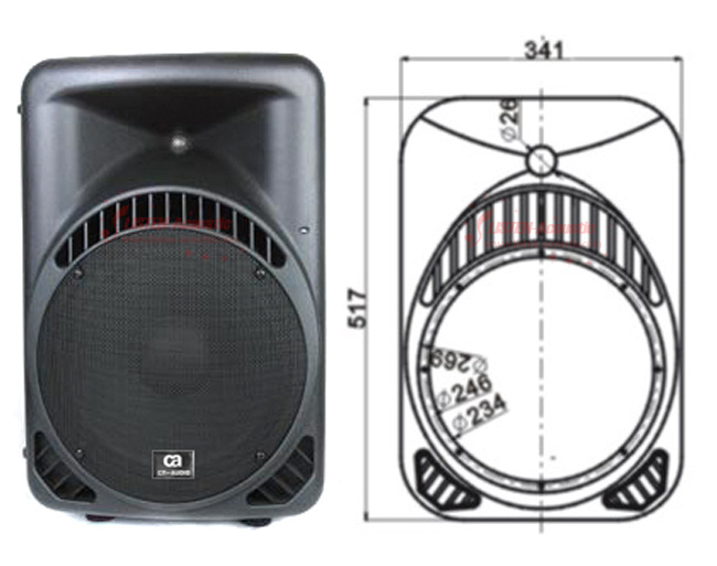 10Professional Stage DJ Speaker Portable PN10/PN10A