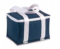 non woven rolling cooler bag 