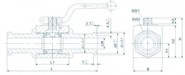 BKH-SAEFS High Pressure Ball Valve