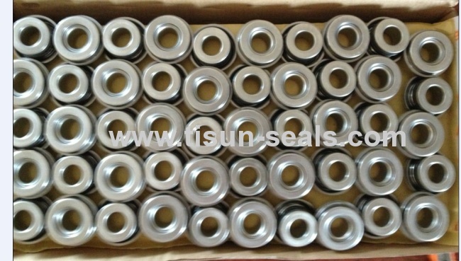 Auto cooling pump seals for car