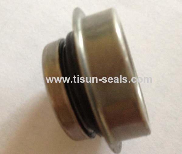 Auto cooling pump seals for car